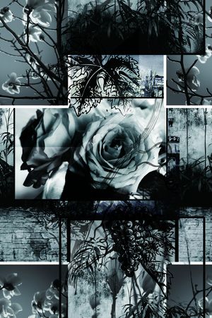 大牌男装女士衬衫 短裙印花华亿平台图片