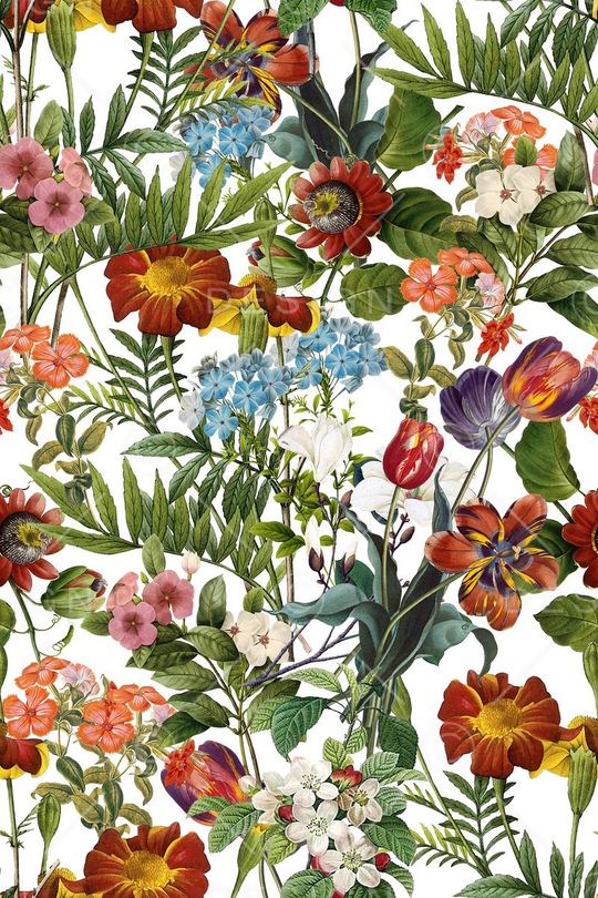 复古印花华亿平台图片