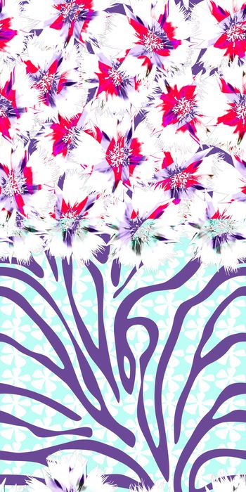 496670-盛开的花朵