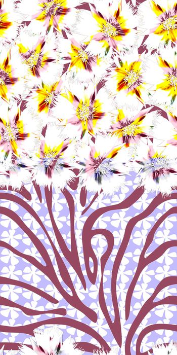 496671-盛开的花朵