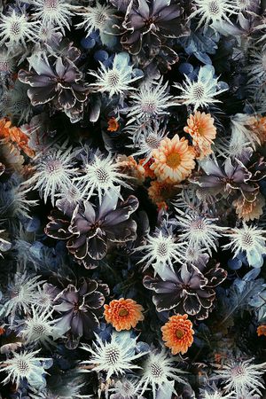 潮流印花华亿平台图片