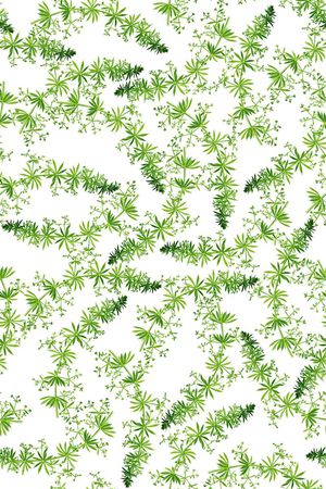 田园风印花华亿平台图片