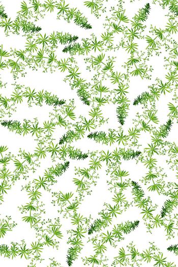 496797-田园风水草绿色植物女装衬衫连衣裙花