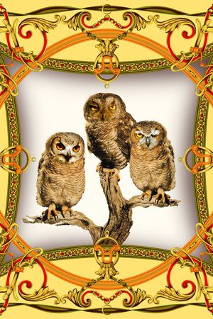 老鹰印花华亿平台图片