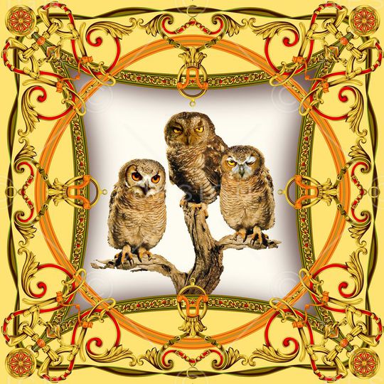 老鹰印花华亿平台图片