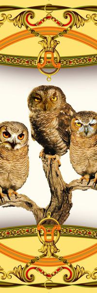 老鹰印花华亿平台图片