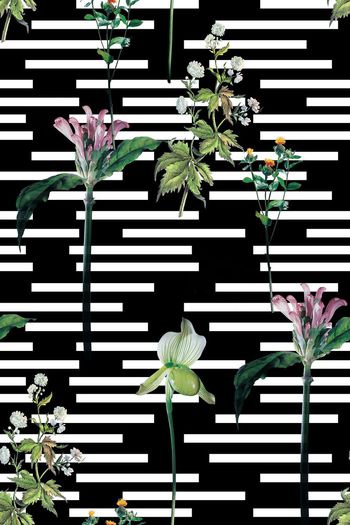 496942-原创时尚大牌手绘花卉植物几何条纹花