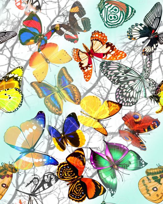 小动物印花华亿平台图片