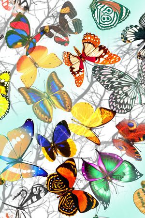 小动物印花华亿平台图片