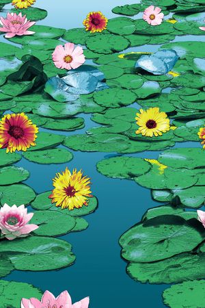 湖泊荷塘印花华亿平台图片