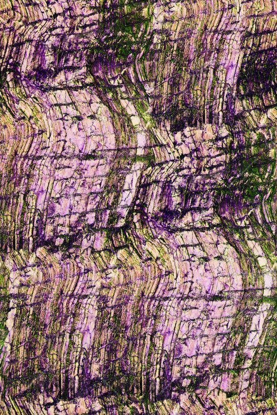 风景印花华亿平台图片