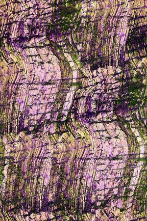 风景印花华亿平台图片