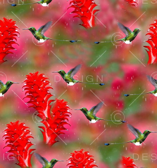 蜂鸟印花华亿平台图片