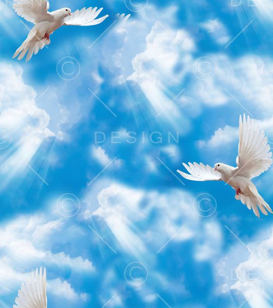 白鸽飞翔印花华亿平台图片