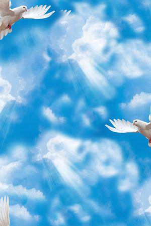 白鸽飞翔印花华亿平台图片