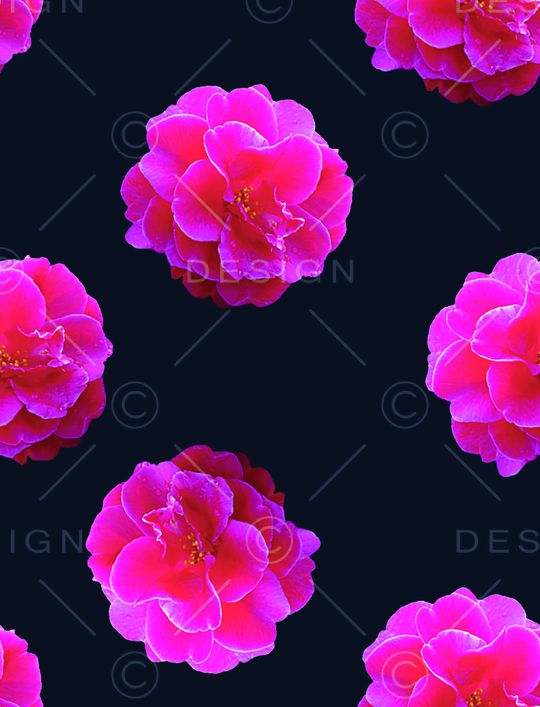 花朵印花华亿平台图片