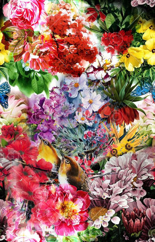 复古印花华亿平台图片