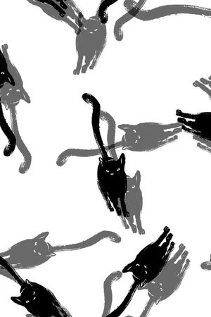 黑白印花华亿平台图片