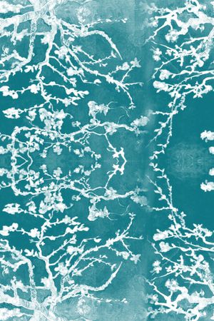 经典印花华亿平台图片