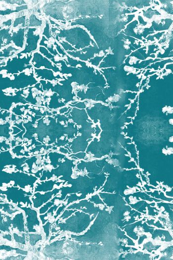 498063-经典油画杏花花卉