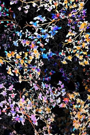 迷离印花华亿平台图片