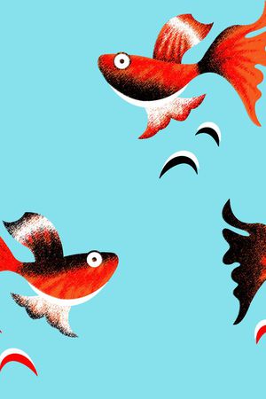 创建印花华亿平台图片