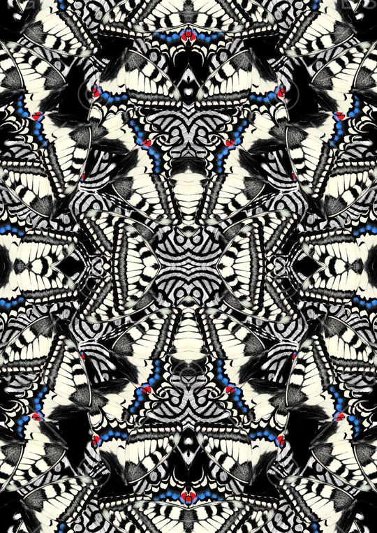 复古蝴蝶印花华亿平台图片