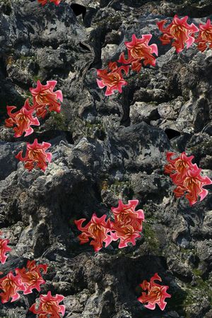 潮流印花华亿平台图片