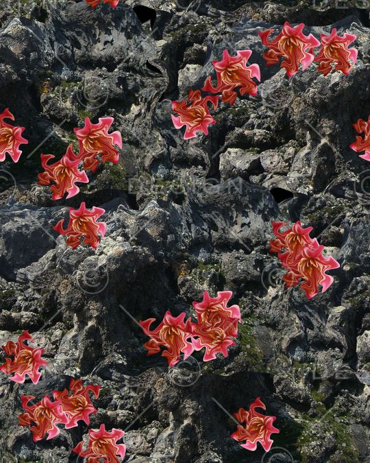 潮流印花华亿平台图片