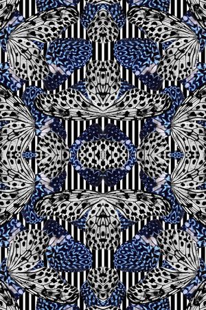 流行国际大牌蝴蝶华亿平台印花华亿平台图片