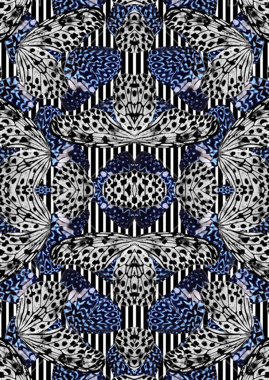 流行国际大牌蝴蝶华亿平台印花华亿平台图片