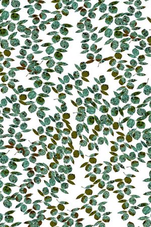 叶子印花华亿平台图片