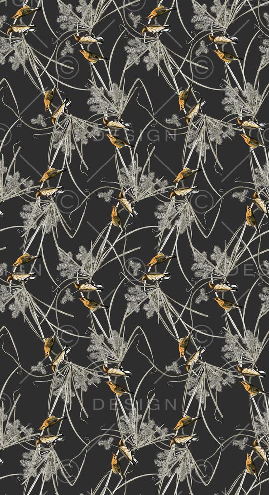 彩色小鸟印花华亿平台图片