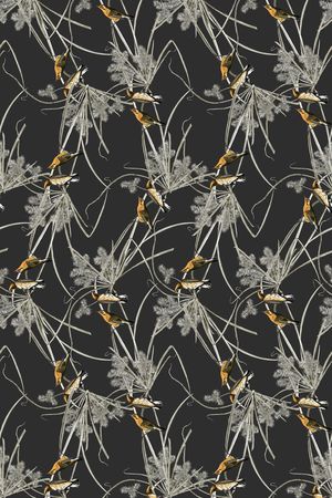 彩色小鸟印花华亿平台图片