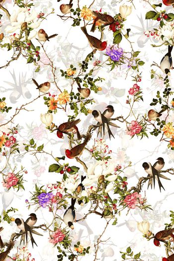 498462-中国风工笔花鸟图