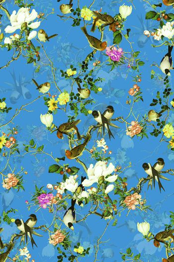 498464-中国风工笔花鸟图