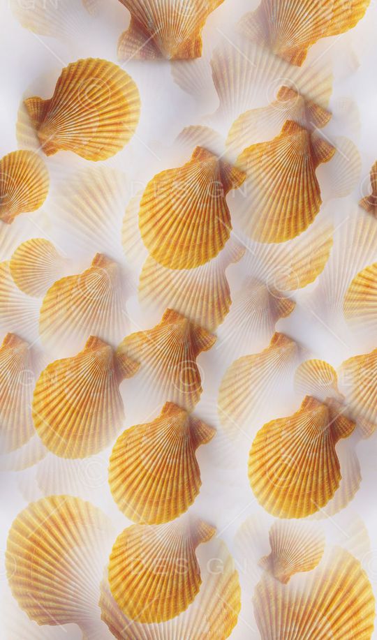 海滩系列印花华亿平台图片