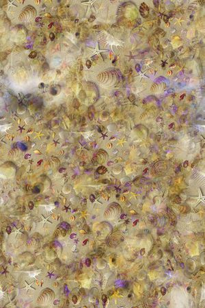 海滩系列印花华亿平台图片