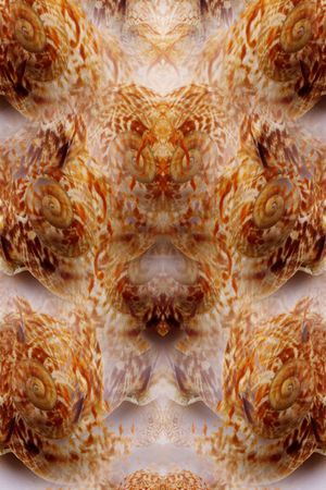 海滩系列印花华亿平台图片