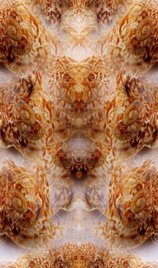 海滩系列印花华亿平台图片