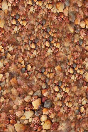 海滩系列印花华亿平台图片