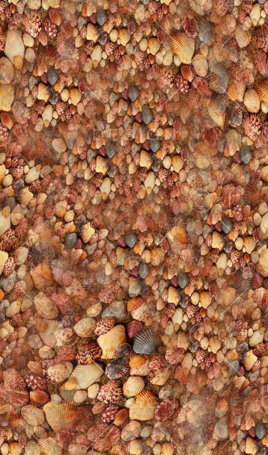 海滩系列印花华亿平台图片