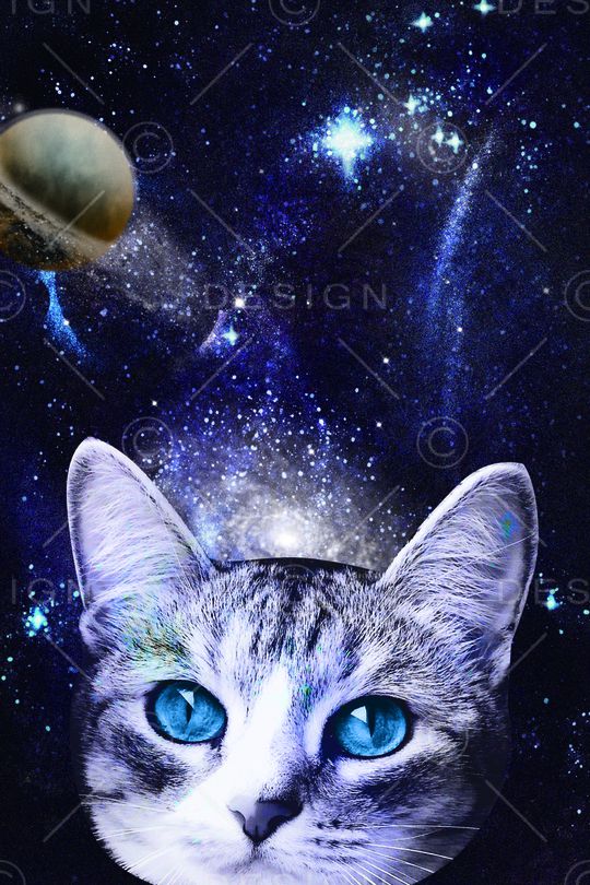 动物印花华亿平台图片