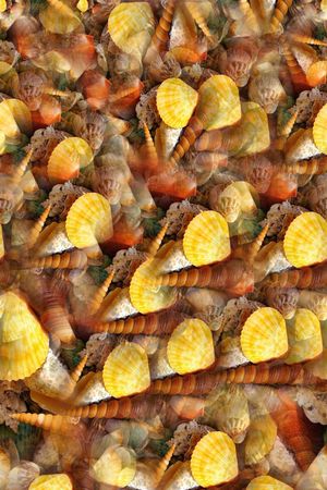 海滩系列印花华亿平台图片