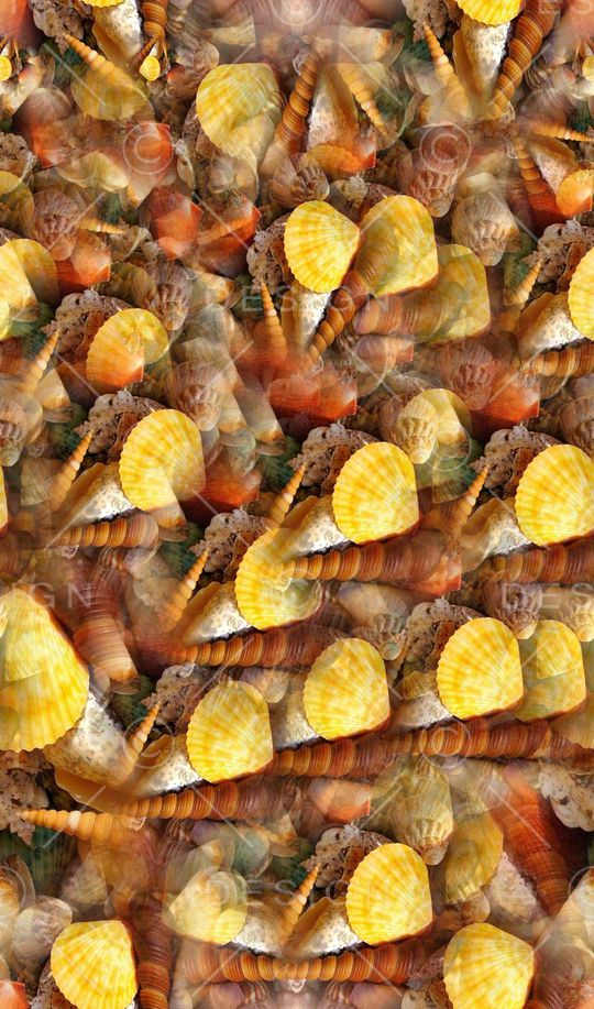 海滩系列印花华亿平台图片