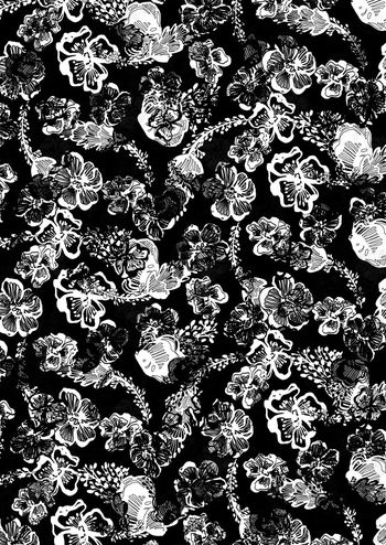 498735-Marine Flowers