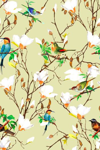 498798-中国风树枝玉兰花鸟画