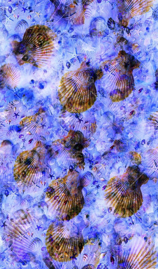 贝壳风印花华亿平台图片