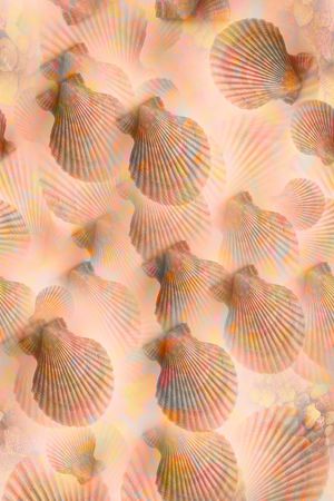 时尚印花华亿平台图片