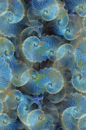 海螺休闲印花华亿平台图片